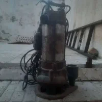 لجن کش سالم سرحال