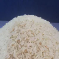 برنج کامفیروزی