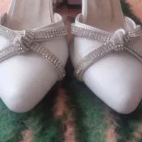 کفش مجلسی