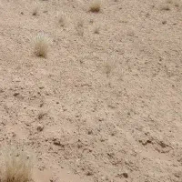 زمین-تجاری-یزدانشهر