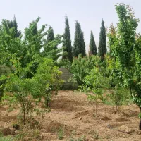 فروش باغ ۱۰۰۰متری