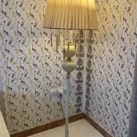 آباژور