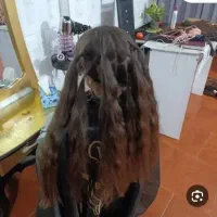کوتاهی رایگان و خرید