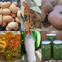 محصولات روستایی، تخم مرغ،گلپر،کدو،خروس محلی
