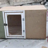 قفس پرنده و جفتی کبوتر یا مرغ خروس محکم