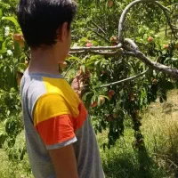تور یک روزه دره آل