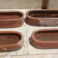 گلدان|گل و گیاه طبیعی|شاهینشهر, پاسداران|دیوار