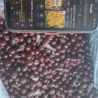 فروش عمده البالو منجمد صادراتی