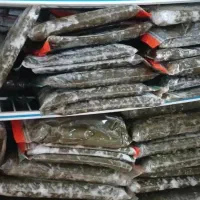 فروش سبزی رامهرمز