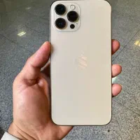 12 پرومکس