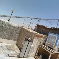 مجسمه دامتور