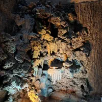 خوابگاه دخترانه vip رویال