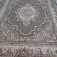 فرش ۳در۴|فرش|مشهد, شهید علی محمدی|دیوار