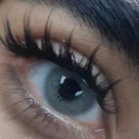 مژه کارم دنبال سالن درصدی