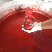 رب خانگی اعلاء