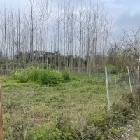 4قطعه-زمین-مسکونی-250-تا350متر-تکبرگ-در-ماسال-زیبا