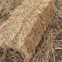 پرس گندم کاه کلش