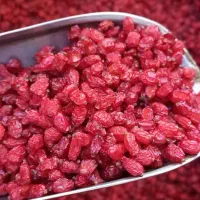 زرشک|خوردنی و آشامیدنی|نیشابور, فضل|دیوار
