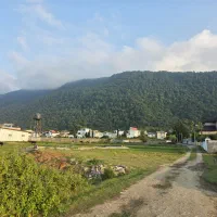 زمین ۳۷۰ متر جنگل جلگه آهنگرکلا