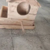لانه پرنده