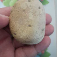 یک دنیا راز ورمز سنگها