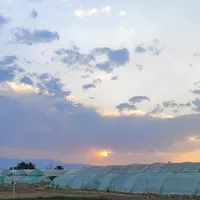 گلخانه جهت اجاره