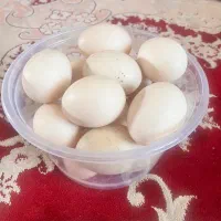 تخم اردک نطفه دار