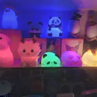 شب خواب سلیکونی