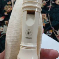 فلوت ریکاردر