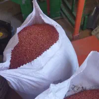 خرید و فروش انواع بذریجات،سبزیجات و حبوبات