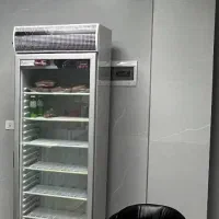 فریزر ایستاده