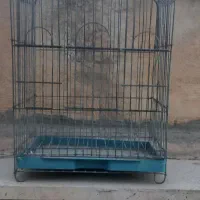 قفس پرنده
