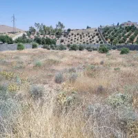فروش زمین باغچه دریمه (مجتمع پردیس )