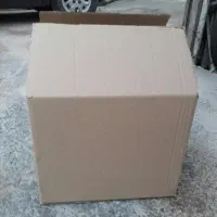 تعداد ۴۱ عدد کارتون نو