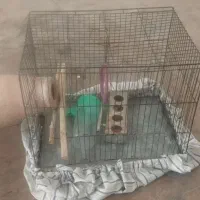 قفس با کلیه وسایل و کوزه