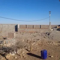 فروش-مرغداری-مجوز-بوقلمون