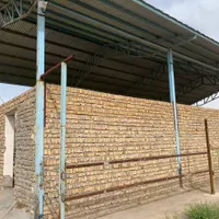 گاوداری۲۰۰ راس  صنعتی پرواری|فروش دفتر صنعتی، کشاورزی، تجاری|قزوین, |دیوار