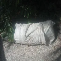 سیمان