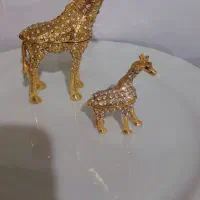 شتر دکور