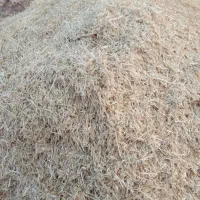 کاه گندم