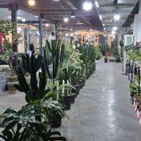 اجاره تعدادی مغازه جهت کافه و گل و گیاه در اکباتان