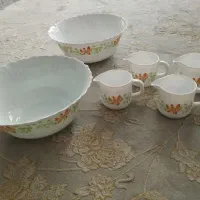 ارکوپال کاسه سالاد 2عدد سوس خوری 4عدد