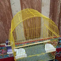 یک عدد قفس پرنده بفروش می‌رسد