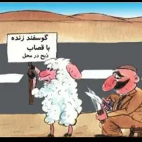 دام زنده افشار جهت قربانی برای عید قربان