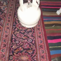 پیک نیک