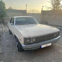 شولت نوا