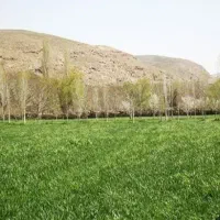 زمین-کشاورزی-باغ-شهر-عباس-آباد
