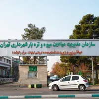 کارمند خانم