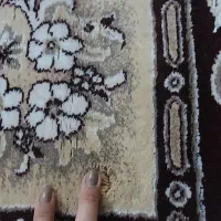 فرش نو|فرش|سرپل ذهاب, |دیوار