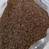 زیره سیاه دانه بلند خوش عطر بو طبیعی ارگانیک